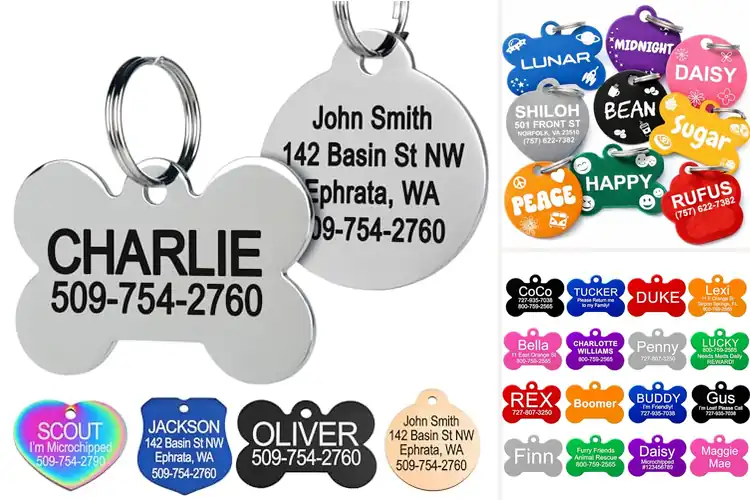 Detailed view of Best Customizable Pet ID Tag