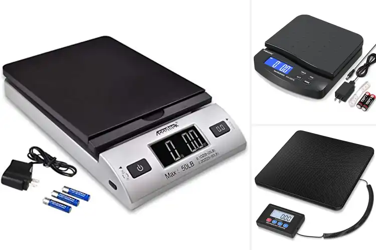 Detailed view of Best Dual Power Postal Scale Battery AC