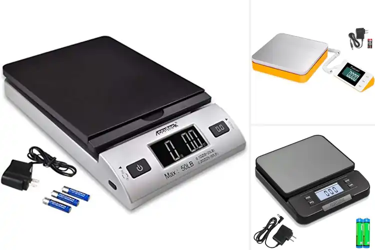 Detailed view of Best Dual Power Shipping Scale