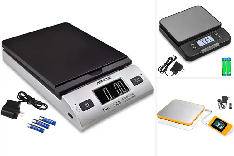 Detailed view of Best Dual Power Shipping Scales