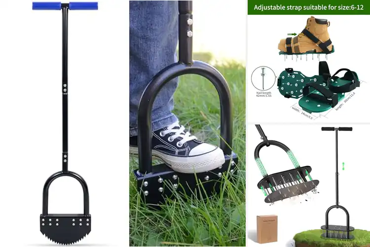 Detailed view of Best Eco-Friendly Lawn Tools