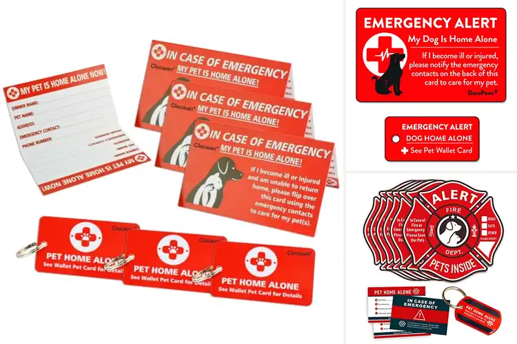 Detailed view of Best Emergency Contact Pet Tag