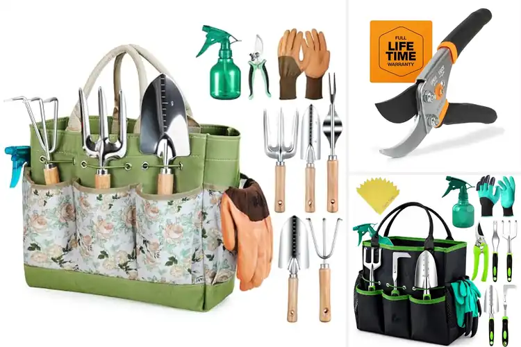 Detailed view of Best Gardening Tools: 10 Must-Haves for a Thriving Garden