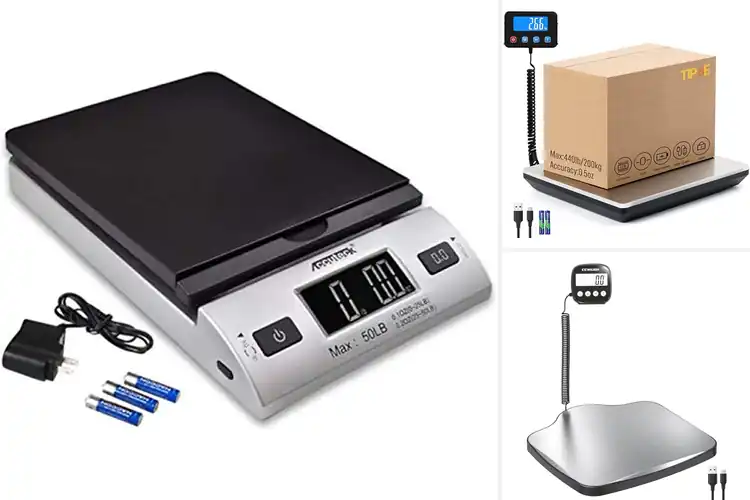Detailed view of Best High Capacity Postal Scales