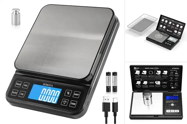 Detailed view of Best High Precision Scales