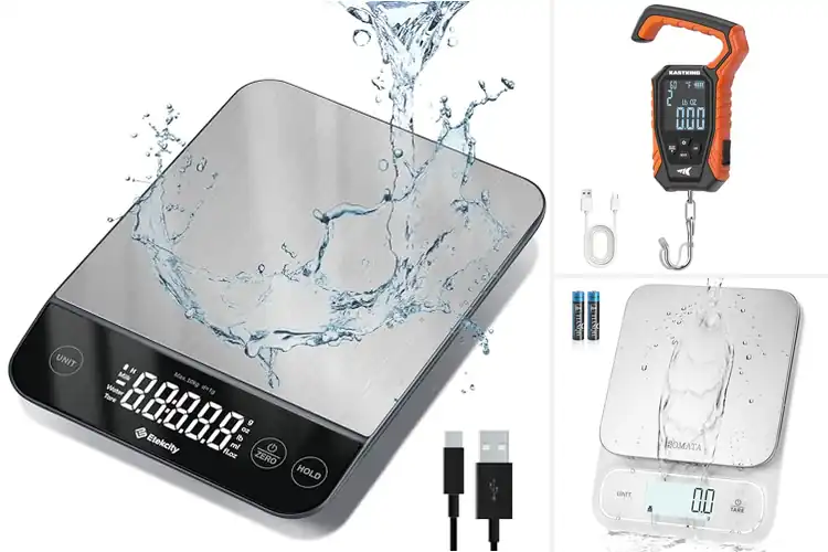 Detailed view of Best IPX6 Waterproof Scale