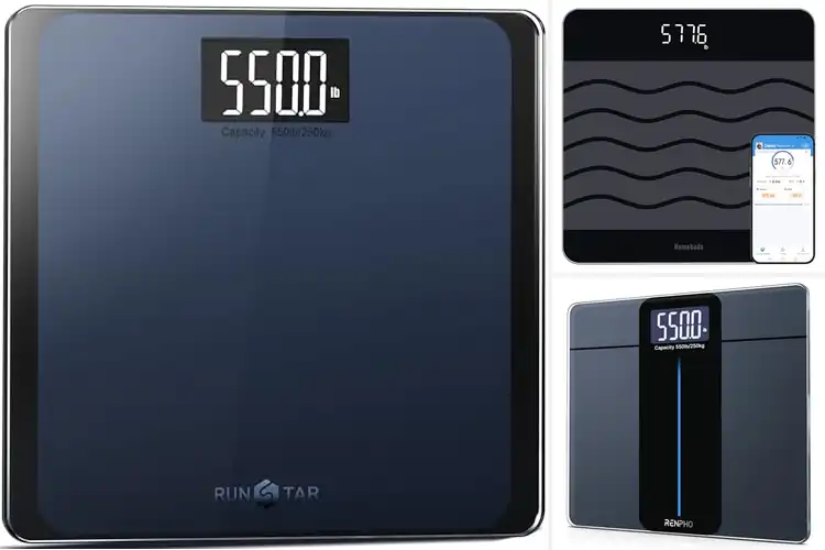 Detailed view of Best Large Capacity Scales