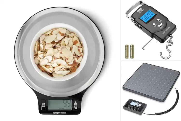 Detailed view of Best LCD Scales