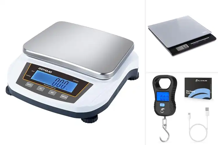 Detailed view of Best Multi Unit Scales