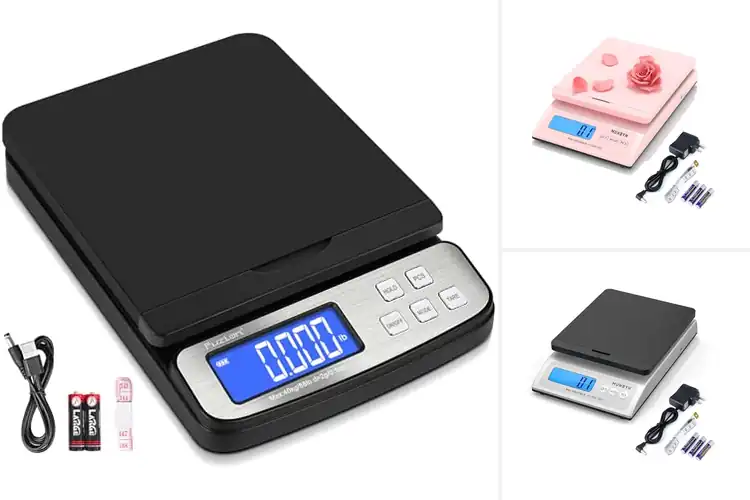 Detailed view of Best PCS Counting Scale for Envelopes