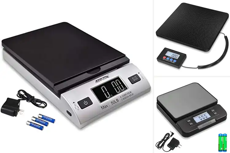 Detailed view of Best Precision Shipping Scales